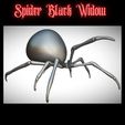 2024-04-09-16_36_46-PureRef.jpg spider Black Widow pre supported