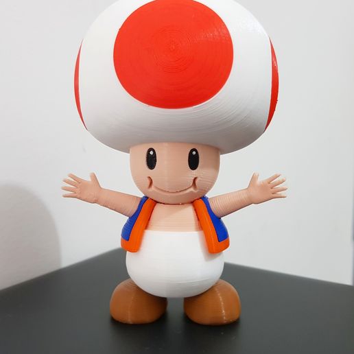 04.jpg Kröte aus den Mario-Spielen - Multi-color