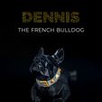 Dennis,-the-French-Bulldog-thumb.jpg Dennis, the French Bulldog