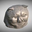 Zrzut-ekranu-2025-06-14-111344.png Persian cat head for 3D printing