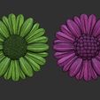 01.jpg Fleurs de marguerite bas relief modèle 3D