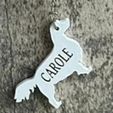 83-Springer-Spaniel-keyring-carol-1.jpg Springer spaniel keyring stl file