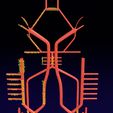 PS0003.jpg Human arterial system schematic 3D