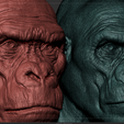 Screenshot_6.png Gorilla Bust