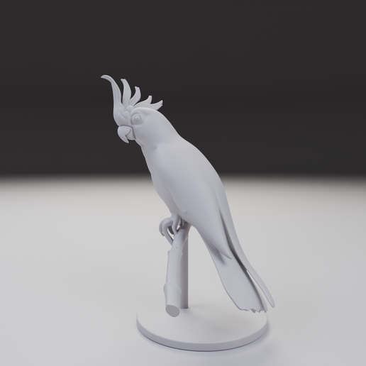 Untitled.blendCamera.007_001.pngCamera.004_002.png White Cockatoo