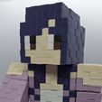 20250815_161955.jpg Minecraft Aphmau play figure