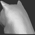 9.jpg British Shorthair cat head for 3D printing