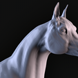 09.png Arabian Horse