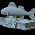 zander-statue-4-open-mouth-1-40.png fish zander / pikeperch / Sander lucioperca  open mouth statue detailed texture for 3d printing