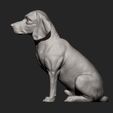 beagle9.jpg 3D-Datei Beagle 3D-Druckmodell・3D-druckbares Modell zum herunterladen