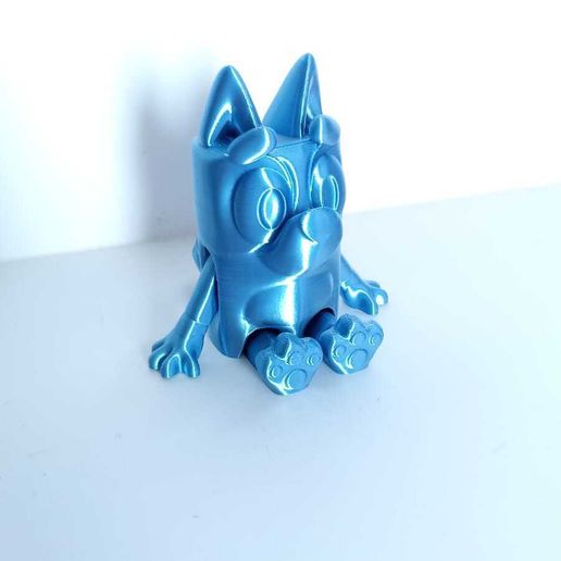 WhatsApp-Image-2023-03-08-at-9.41.23-AM-1.jpeg Joli chien bleu