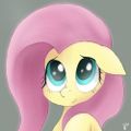 FlutterCookz