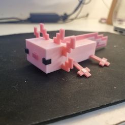 1a48b66b-e0a2-4500-af4d-11c8a2aa4388.jpg Minecraft Axolotl