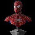 Base-Render-10497.jpg Spider-Man Bust (Sam Raimi Version)