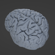 Resin2.png Human Brain