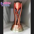 5.jpg FIFA WORLD CUP U-20