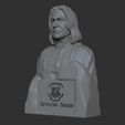07.jpg Severus Snape 3D print model