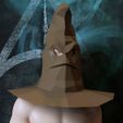 il_794xN.1759879823_gi7n.jpg MAGICIAN HAT