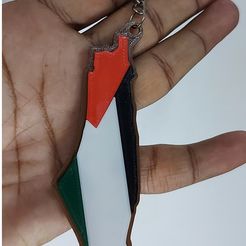 186558485_10159663709769683_6210403174970741421_n.jpg Free STL file Palestine Map keychain with flag・3D printable model to download