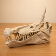 8a4ebc09-c901-4bdc-b074-c436e4230cc8.png The Spinosaurus Legacy: A Multi-Part Museum-Quality Fossil Replica with Enhanced Anatomical Detail