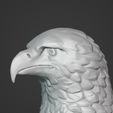 I10.jpg Eagle Bust - Original Design