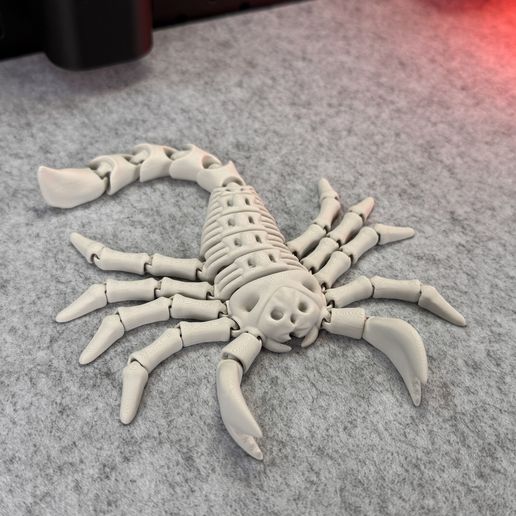 IMG_7420.jpg Flexi Esqueleto Escorpión