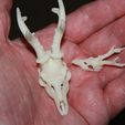Capreolus_Smooth_Print_01.jpg Capreolus Reloaded