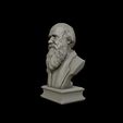 21.jpg Charles Darwin portrait sculpture 3D print model