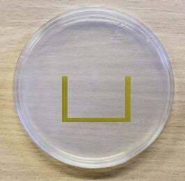 photo-U.jpg matériel dédié aux expériences sur les blobs