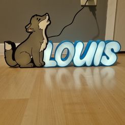 20231205_002430.jpg First name lamp LOUIS Loup