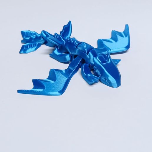 285edd8d-bab2-4d57-9f32-36427a70212a.jpg Nice Flexi Dragon