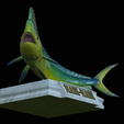 mahi-mahi-model-1-20.png fish mahi mahi / common dolphin trophy statue detailed texture for 3d printing