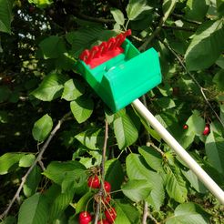 IMG_20220630_165141569.jpg Free STL file cherry and plum picker・3D print model to download