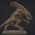nids.1154.jpg ORIGINAL PLASTIC FREE LICTOR (2-4 poses)