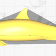 image-72.png 3D models meets different types of dolphins
