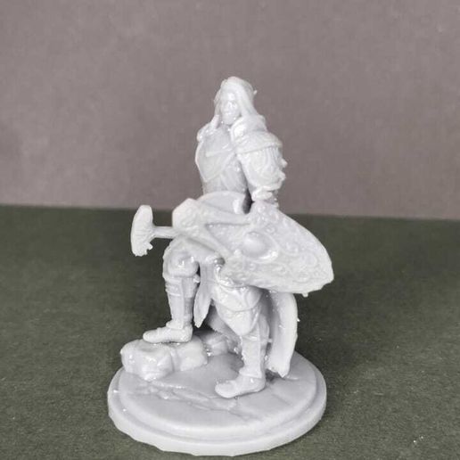 WhatsApp-Image-2024-10-31-at-21.06.06-1.jpeg Elf Cleric - Classes by Races