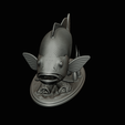 Peacock-Bass-statue-1-3-19.png FISH in motion Peacock bass (Cichla ocellaris) fish natural base detailed texture for 3d printing