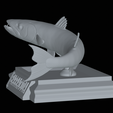 Barracuda-huba-trophy-16.png fish great barracuda statue detailed texture for 3d printing