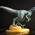 velociraptor21.jpg Jurassic world, Velociraptor, dinosaur with a watchful pose