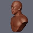 13.jpg Dr Dre Bust 3D print model