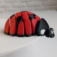 img_3.jpg Joaninha Articulada - Brinquedo Flexível para Impressão 3D 🐞