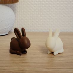 Bunny-resin-print.jpg Lapin de Pâques en chocolat