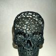 IMG20201203222836.jpg Voronoi Skull 3D print model