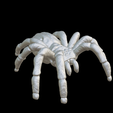 Capture-d’écran-2023-07-06-à-12.13.42.png spider