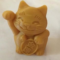 maneki-neko -money cat-