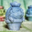2.jpg Choya in flowerpot | Guild Wars 2