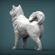 Alaskan-Malamute5.jpg 3D-Datei Alaskan Malamute 3D-Druck Modell・Modell für 3D-Drucker zum Herunterladen
