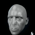 03.png Пользовательская голова Лорда Волдеморта - 3D модель для печати