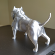 image-2.png American Bully Dog 3D Print Sculpture