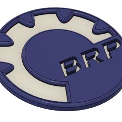 IMAGE.jpg BRP Logo
